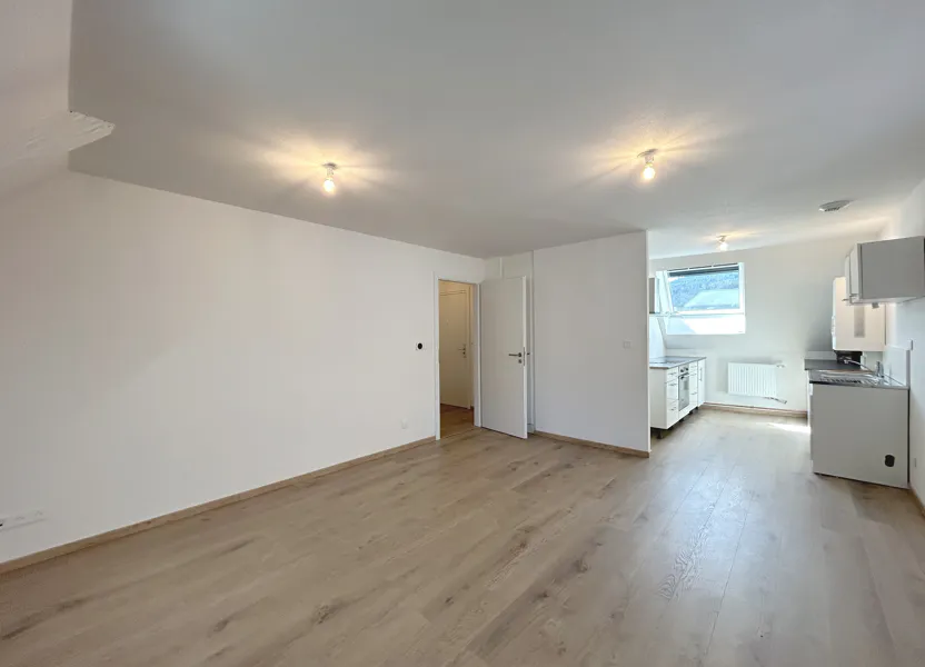 Flat Rue du Tribunal in Schirmeck