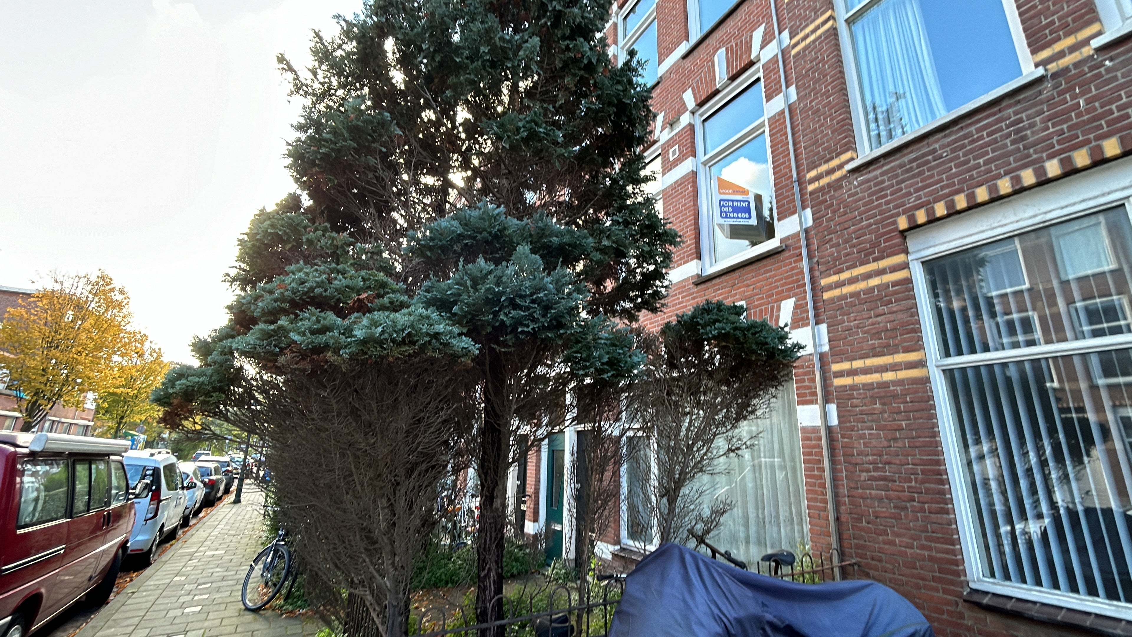 Studio te huur: Herschelstraat 24, 'S-Gravenhage