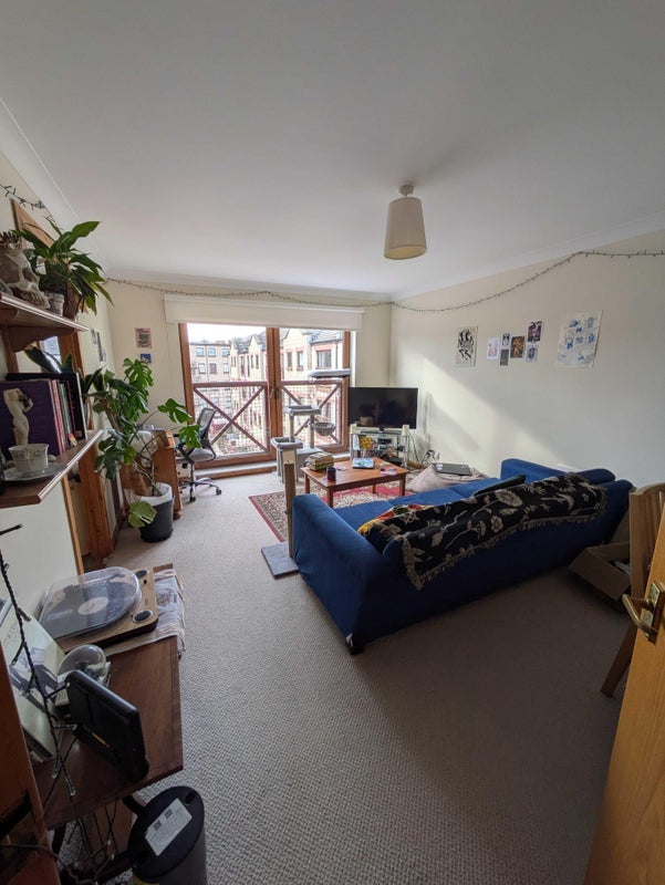 Room Timber Bush in City of Edinburgh