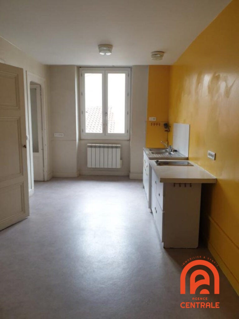 Appartement Rue du Capitaine Robert Cluzan à Lyon
