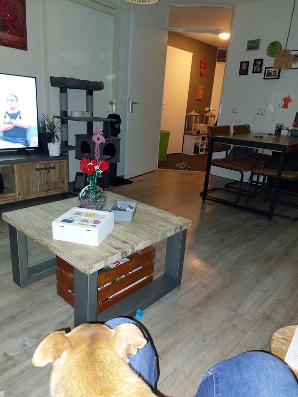 Appartement Boekweitkamp in Ruinerwold