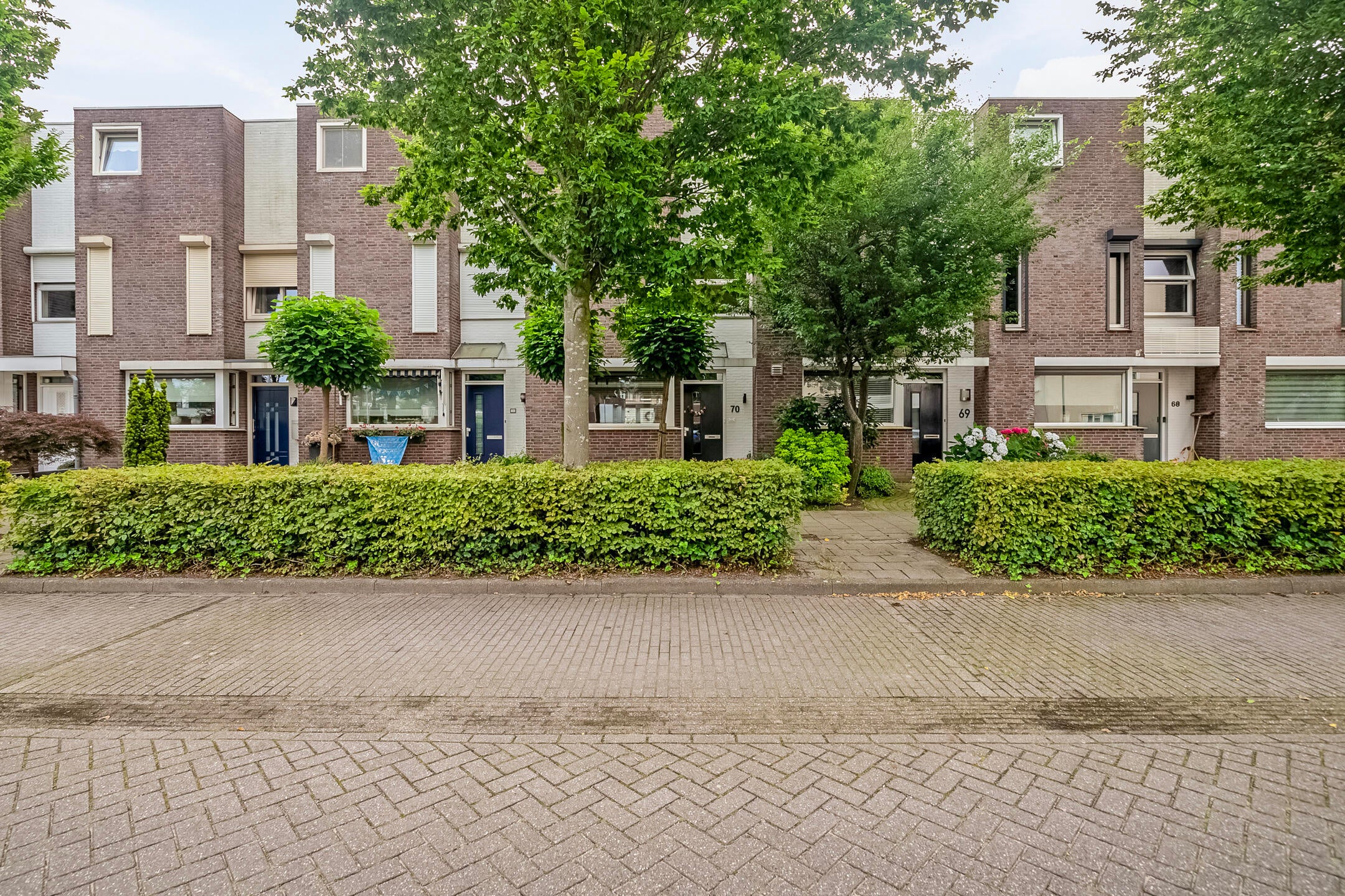 Bloemenblauwtje 70 in Breda