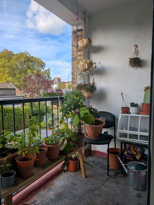 Room Ramsey Street in Greater London