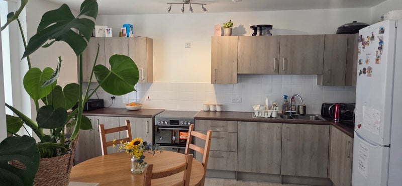 Room Albany Road in Greater London