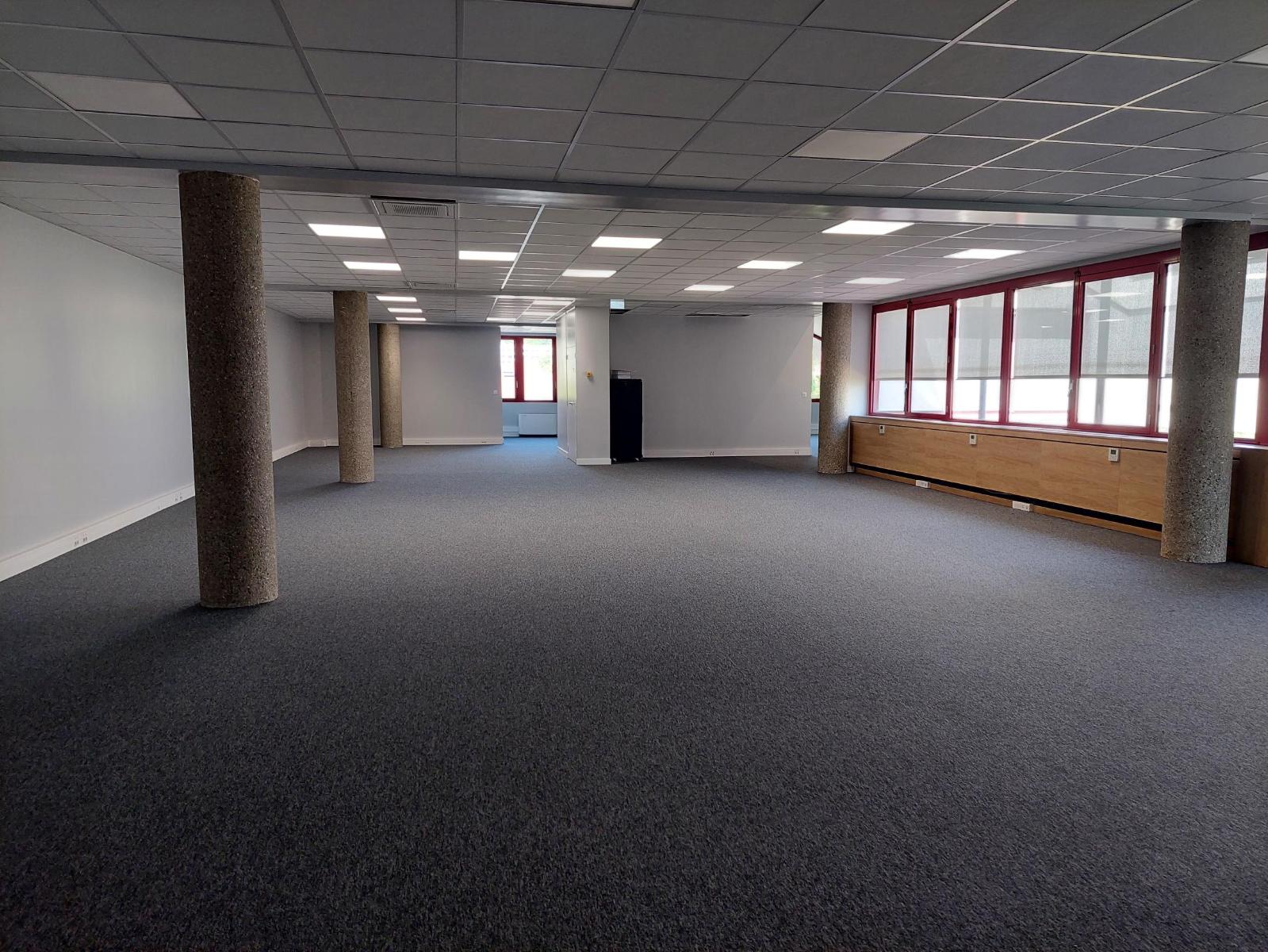 Flat Avenue du Professeur Tixier in Bourgoin-Jallieu