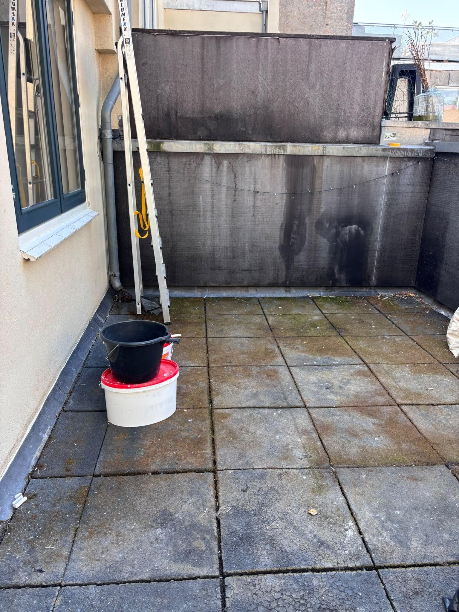 Woning te huur: Hogewoerd, Leiden