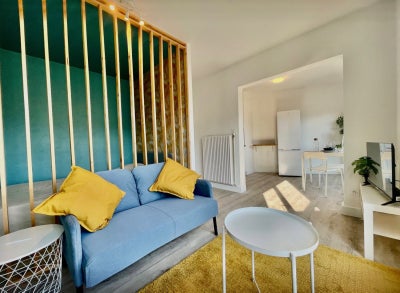 Appartement Boulevard Alexandre de Fraissinette à Saint-Étienne
