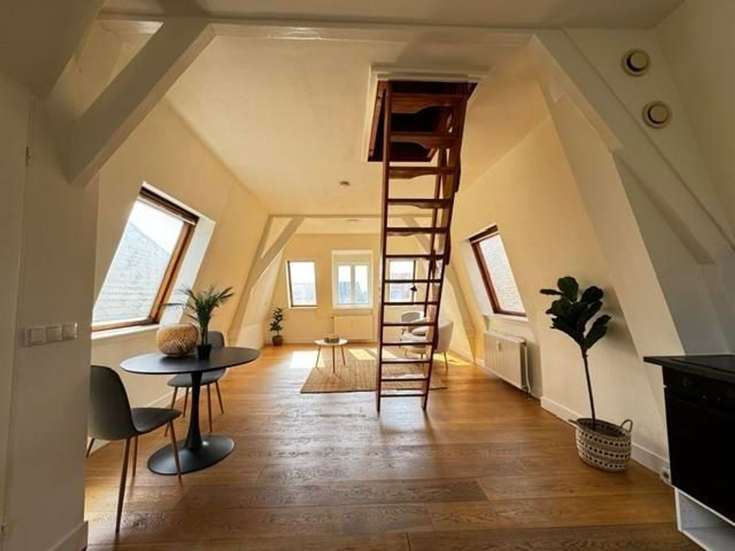 Appartement Kranestraat 54 in Den Haag