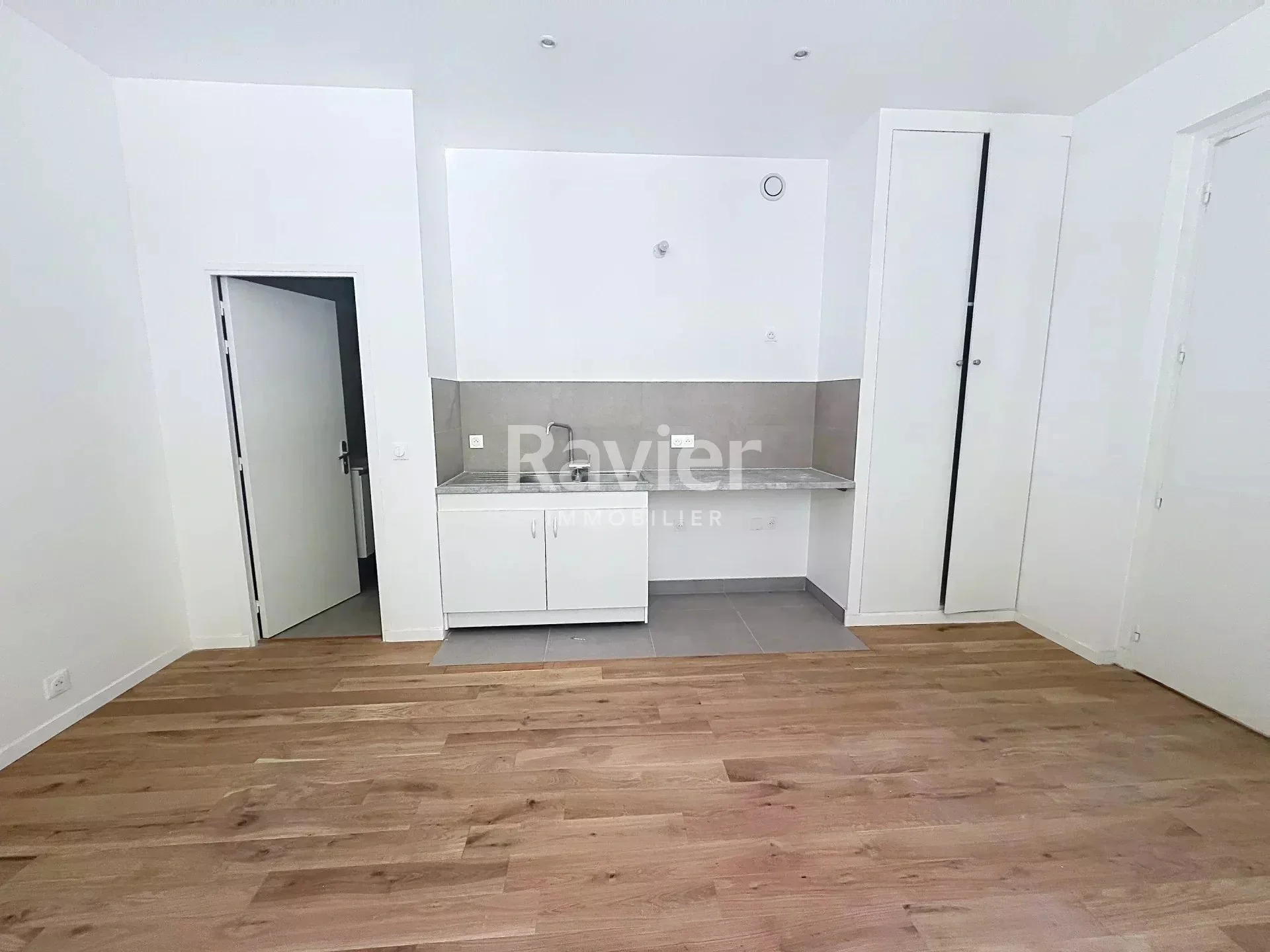 Flat Avenue Hoche in Paris