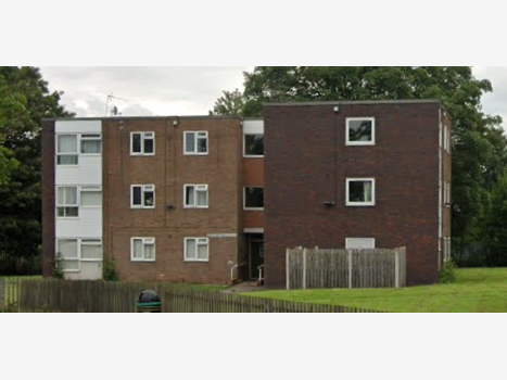 Flat Maple Grove in Stafford