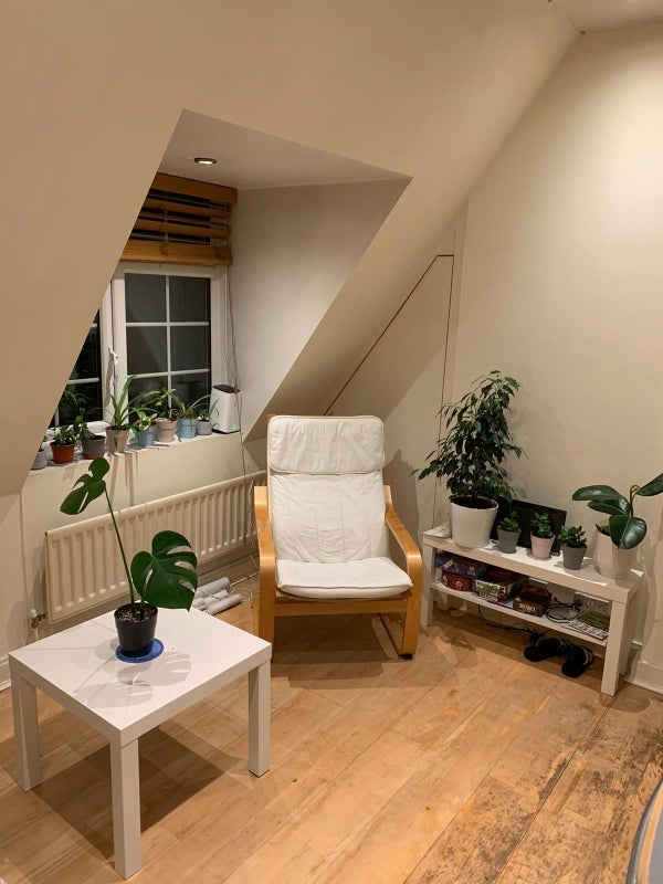 Flat Finchley Road in Greater London