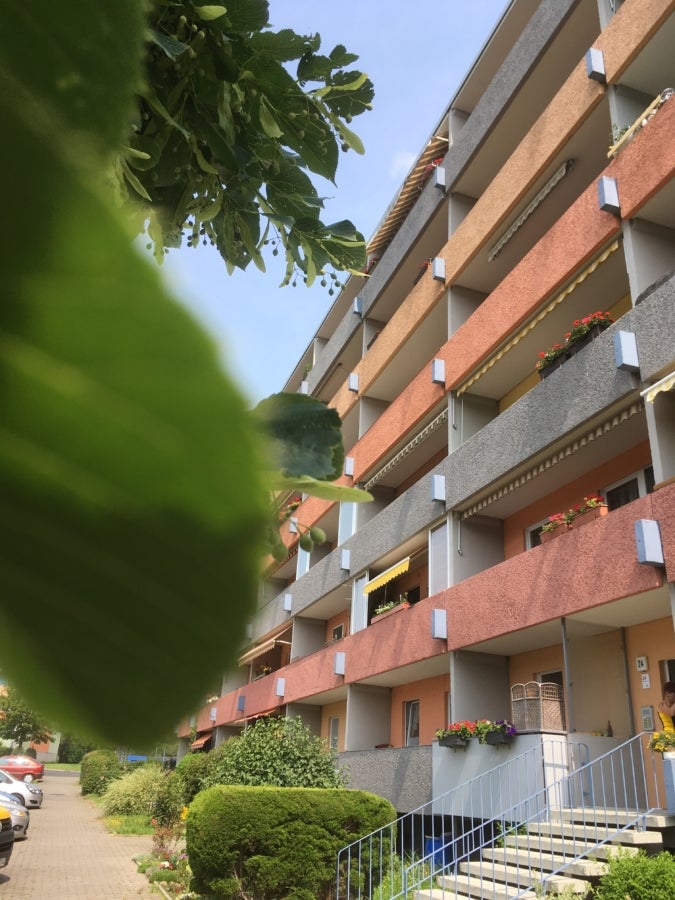 Wohnung Buchbergstraße in Olbersdorf