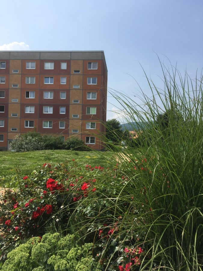 Wohnung Buchbergstraße in Olbersdorf
