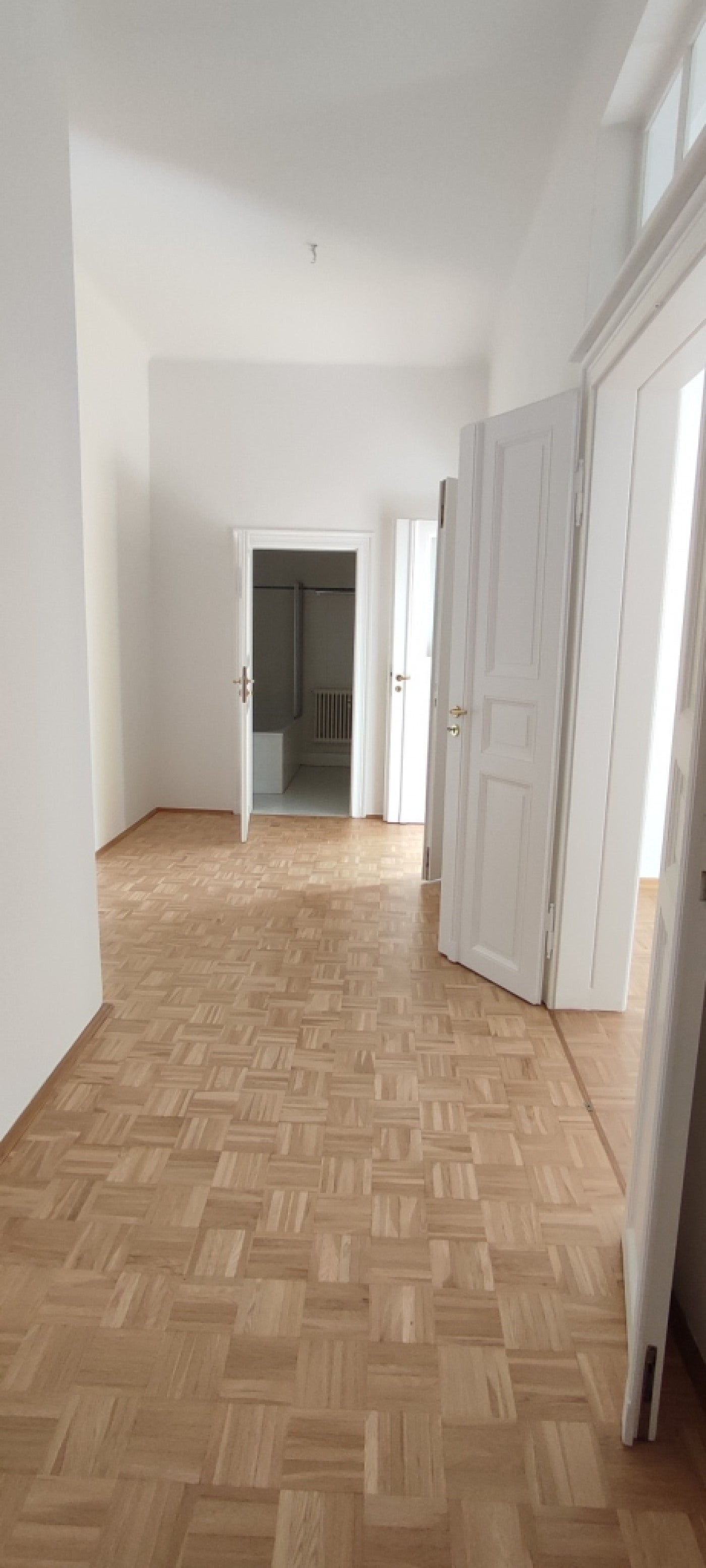 Wohnung Schlüterstraße in Dresden