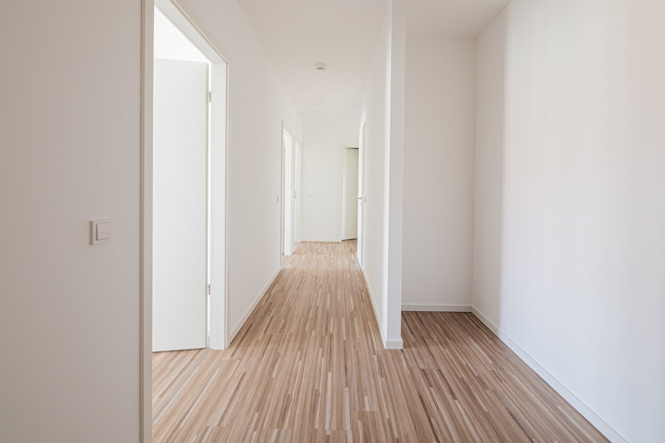 Wohnung Nürnberger Straße in Dresden