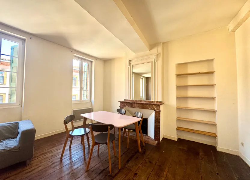 Flat Pont Neuf in Toulouse