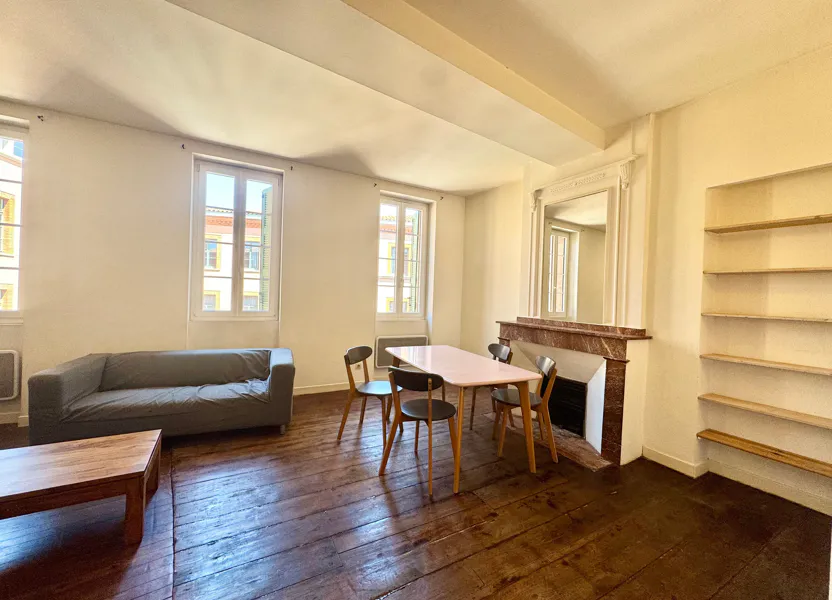 Flat Pont Neuf in Toulouse
