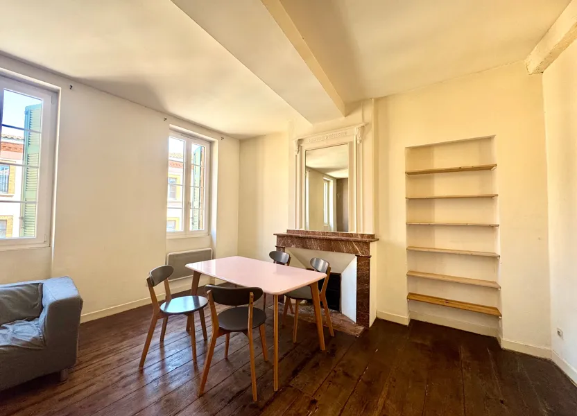 Appartement Pont Saint-Pierre à Toulouse