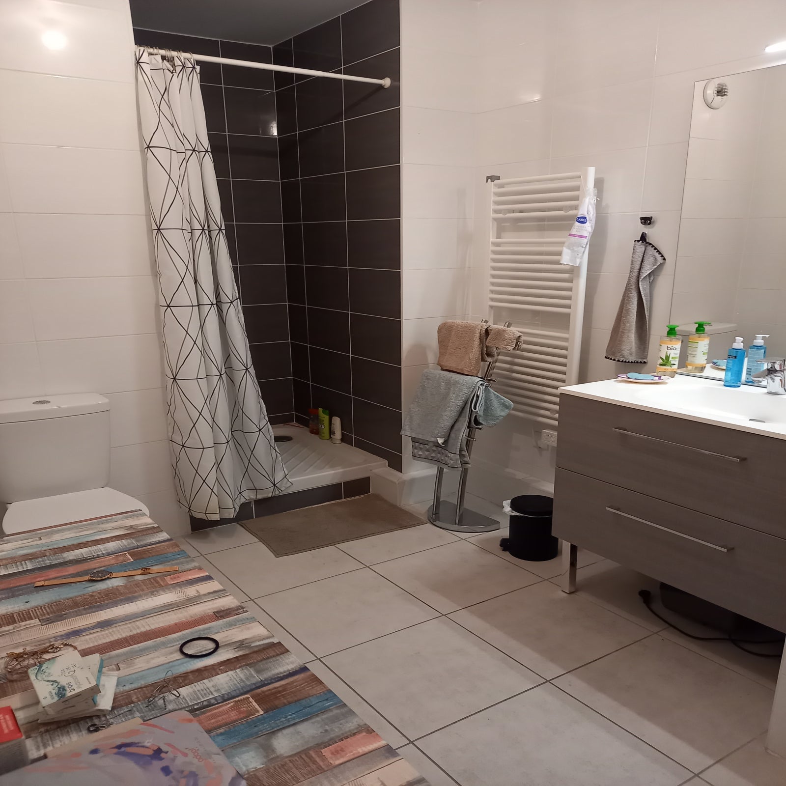 Appartement Avenue Roger Salengro à Villeurbanne