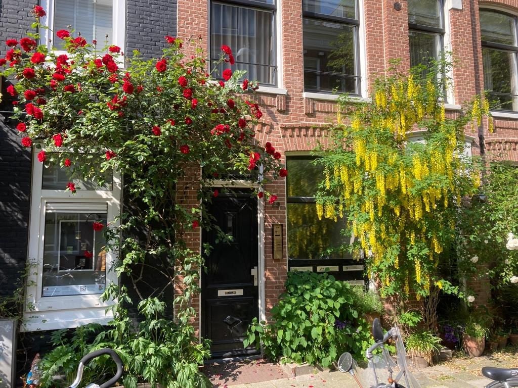 Appartement te huur in Amsterdam – Saenredamstraat – foto 1