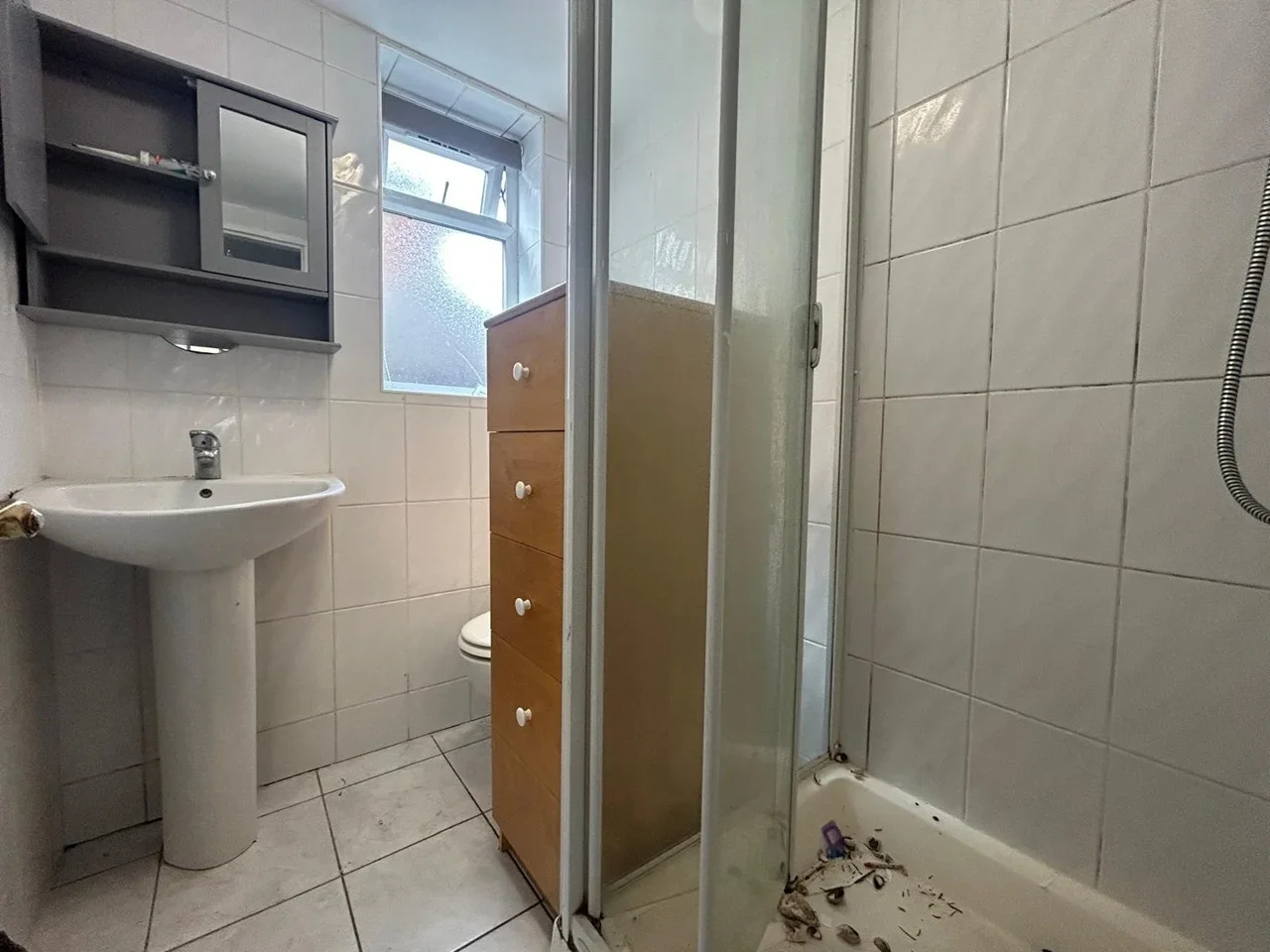 Flat Pine Tree Close in Greater London