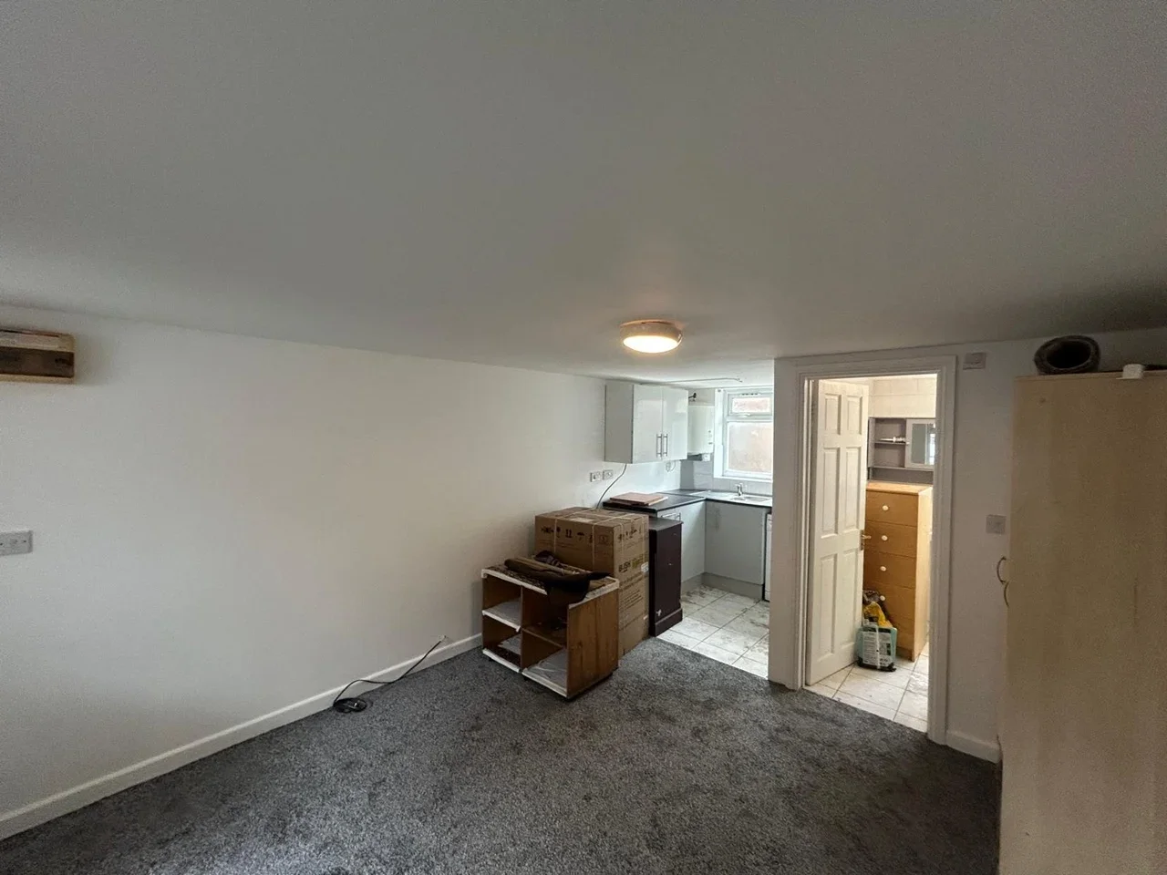 Flat Pine Tree Close in Greater London