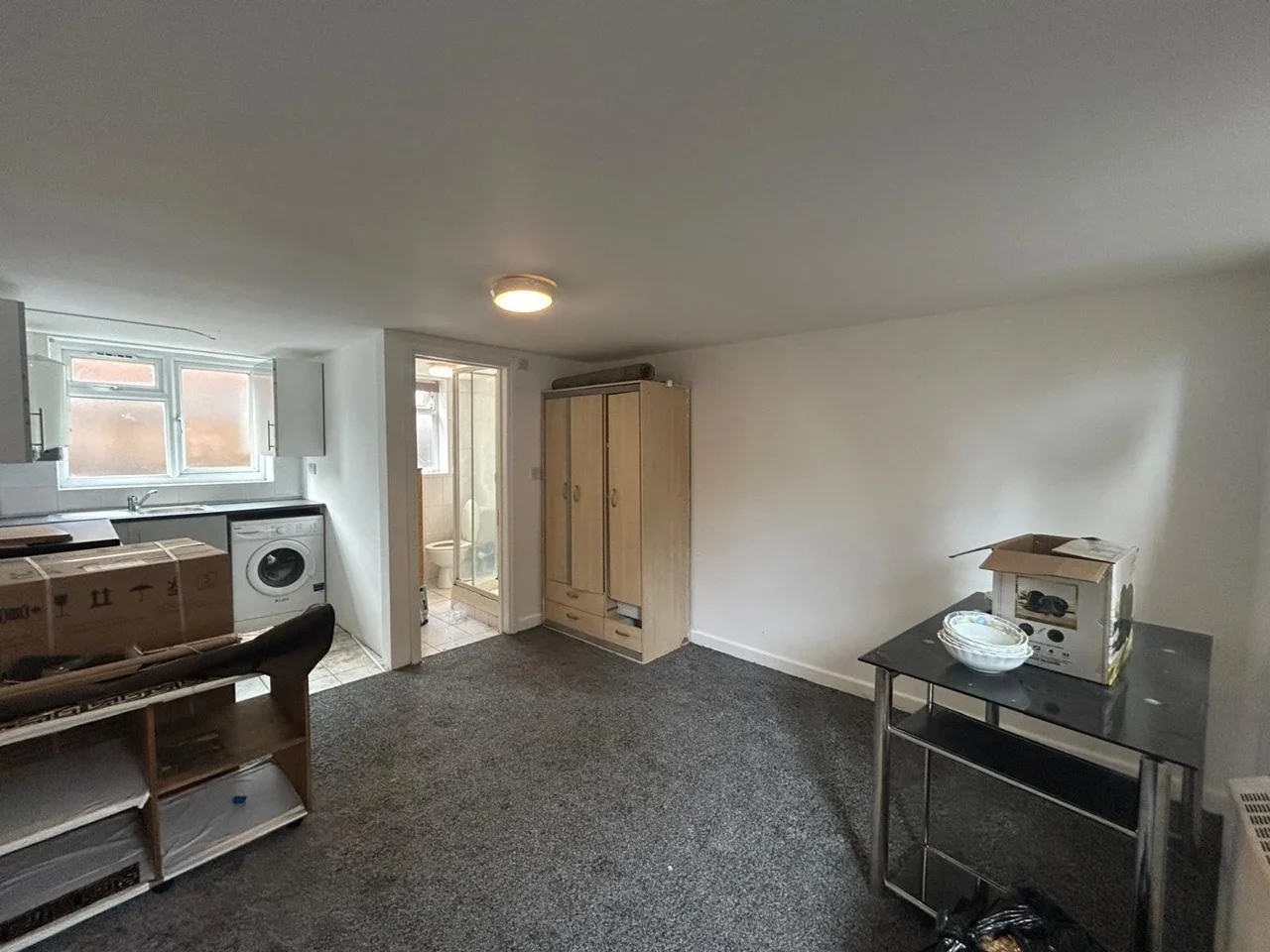 Flat Pine Tree Close in Greater London