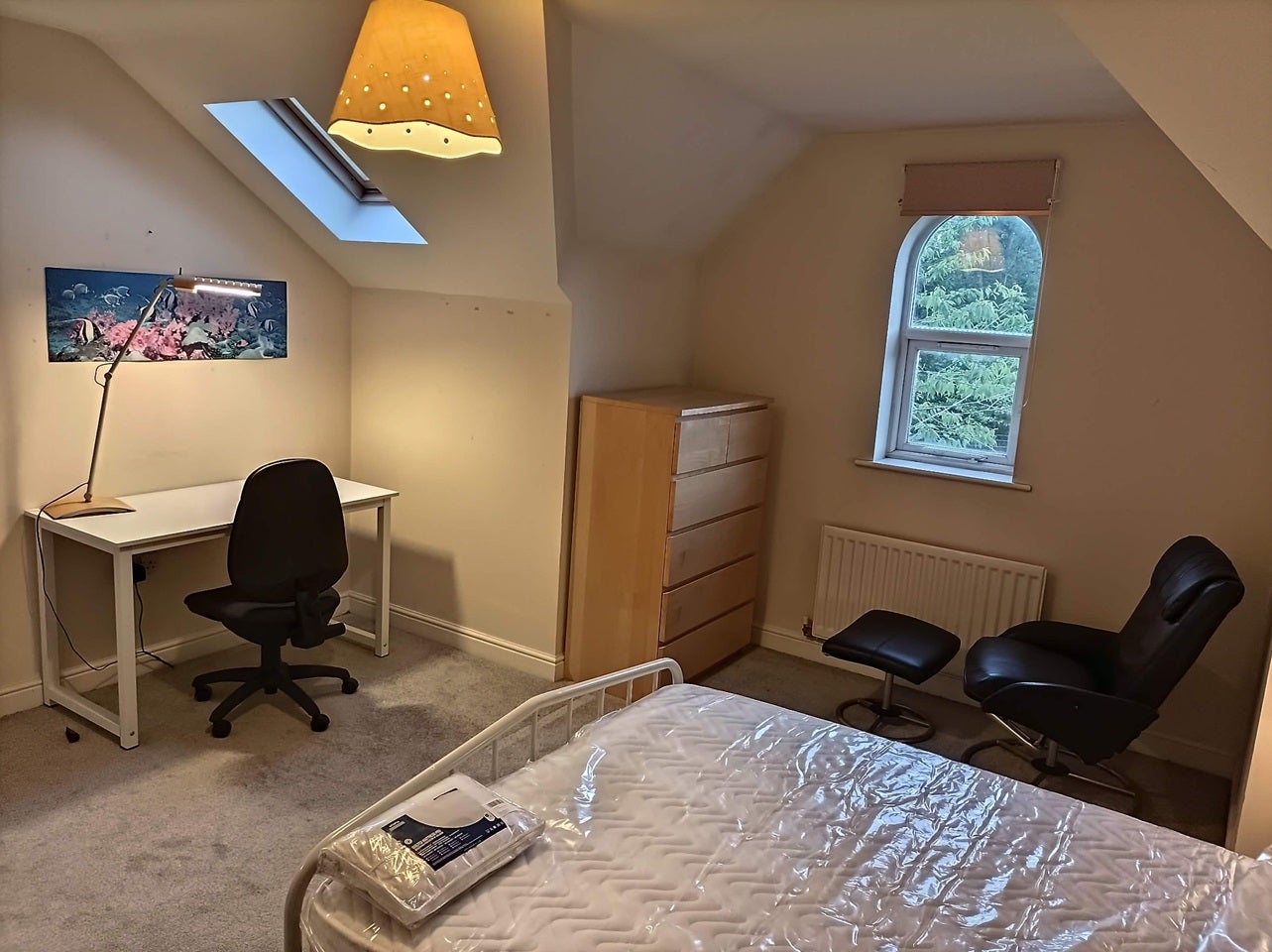 Room Schuster Road in Manchester