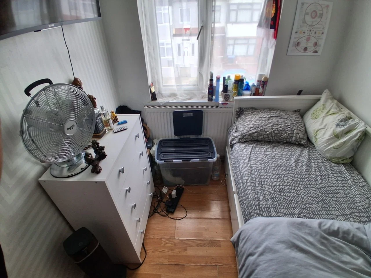 Room Clarendon Road in Greater London
