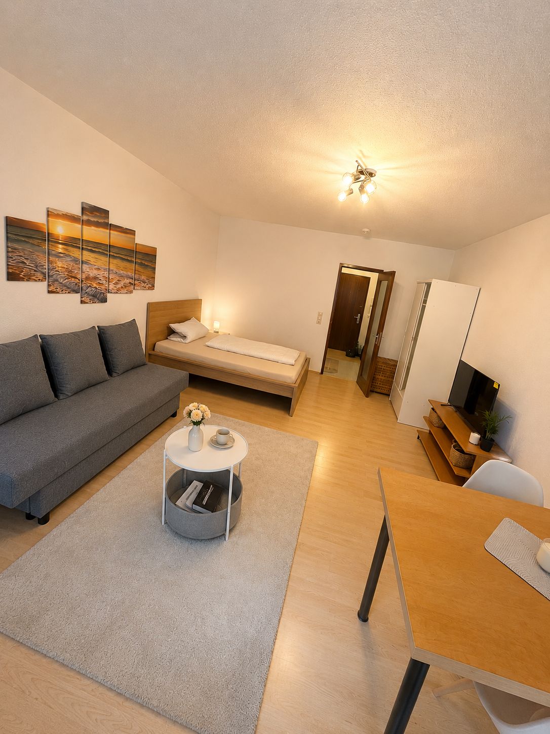 Wohnung Wentzingerstraße in Freiburg im Breisgau