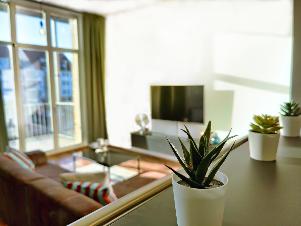Wohnung Nachtweide in Magdeburg