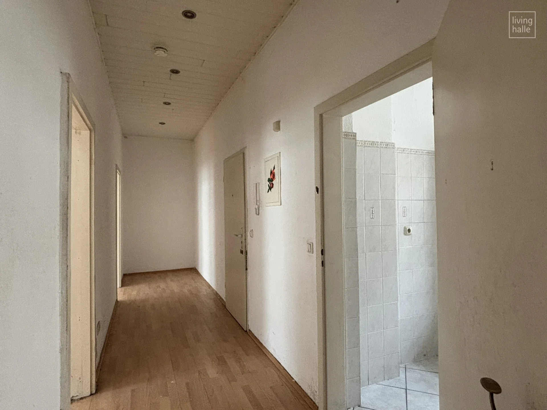 Wohnung Forsterstraße in Halle (Saale)