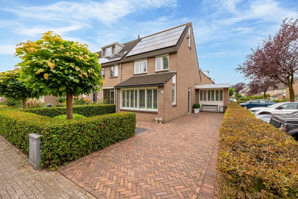 Kokmeeuw 21 in Den Bosch