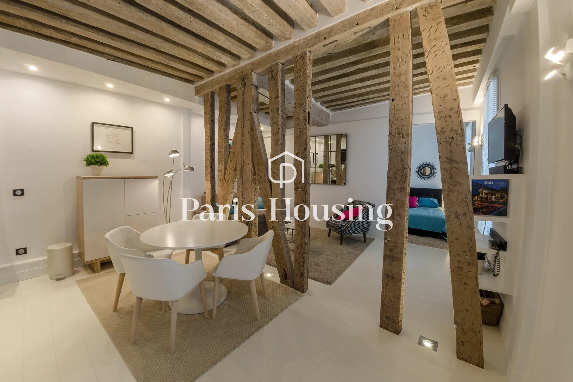 Flat Rue de Buci in Paris