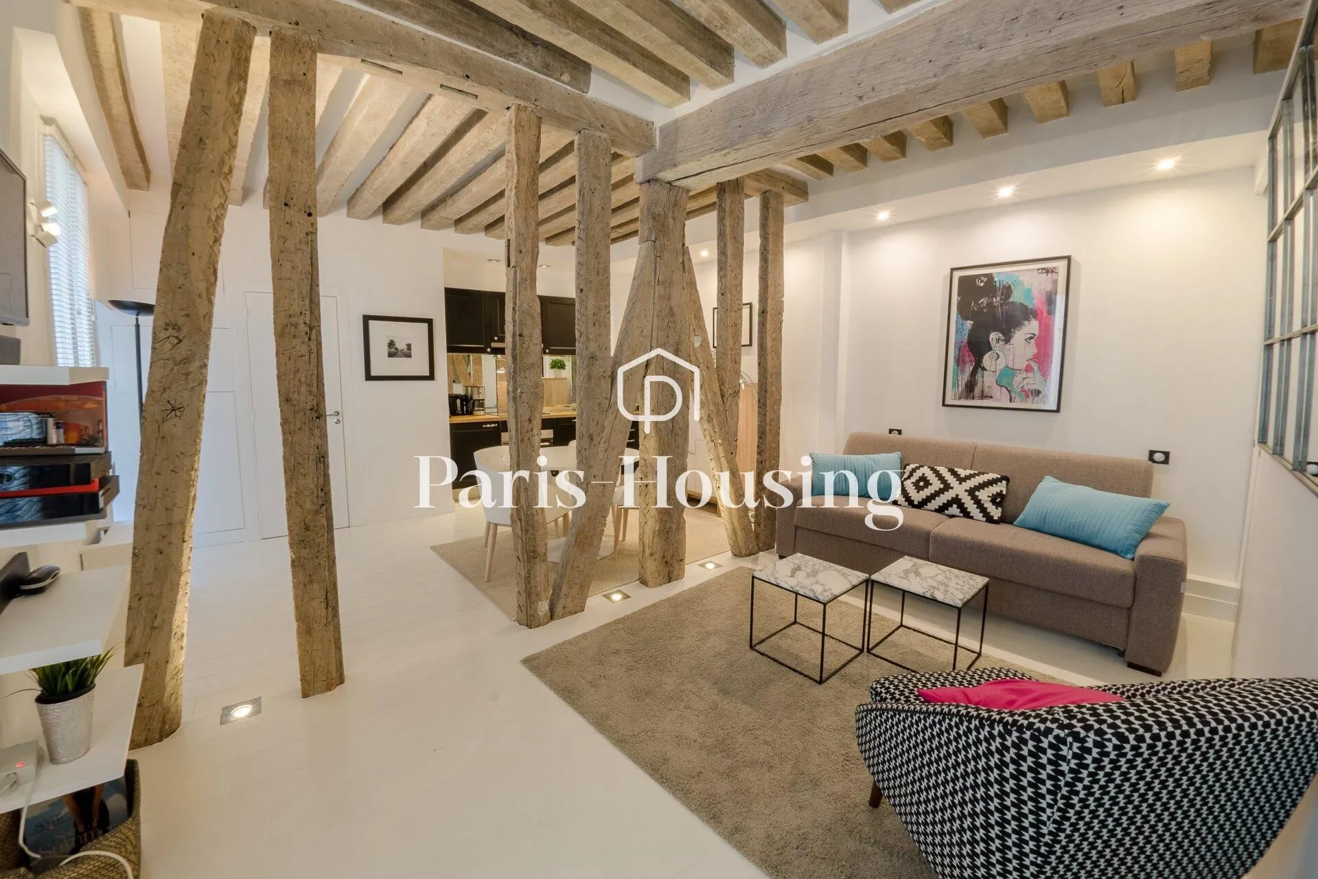 Flat Rue de Buci in Paris