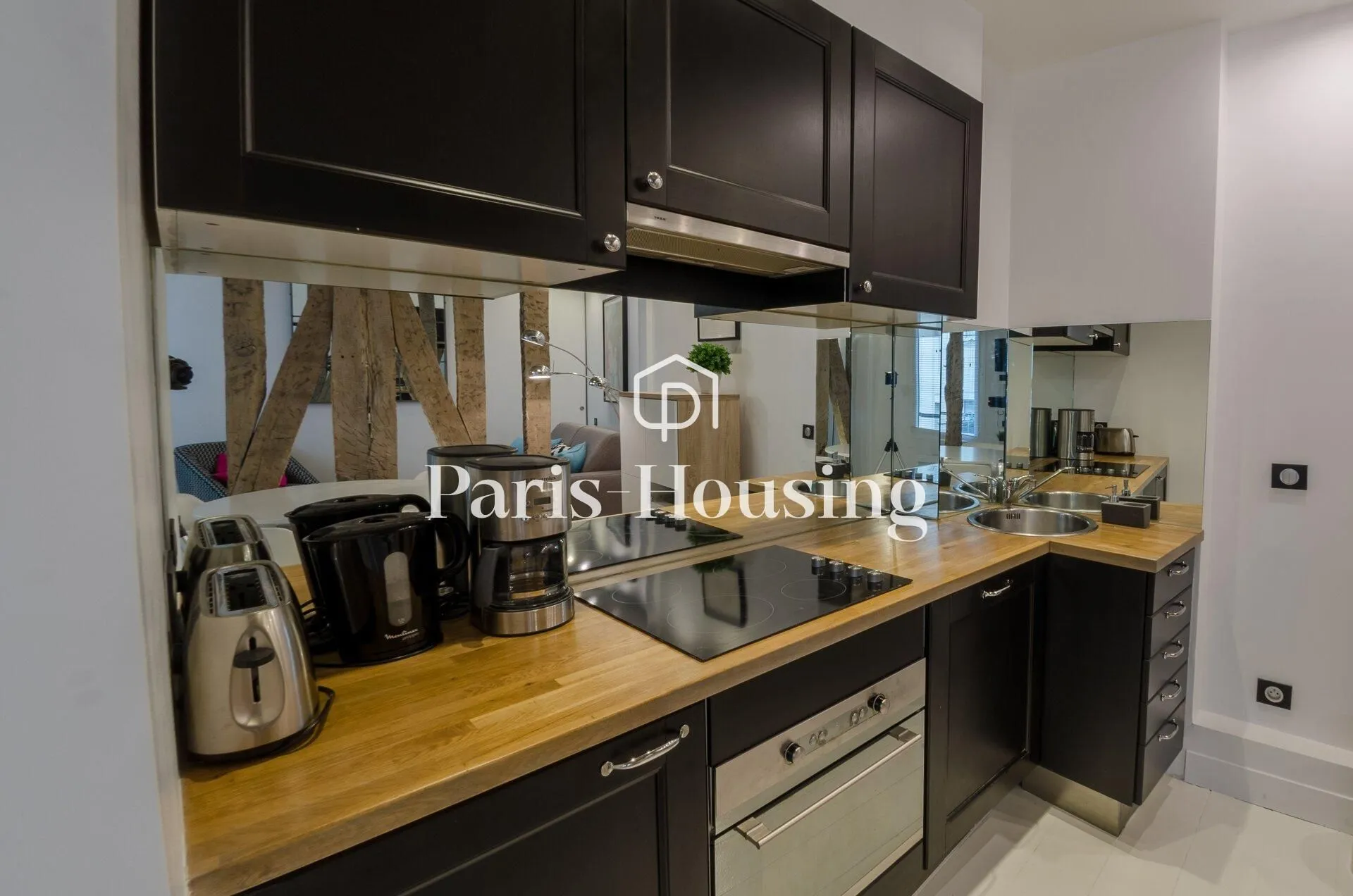 Flat Rue de Buci in Paris