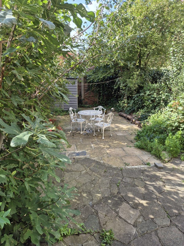 Room Weymouth Terrace in Greater London