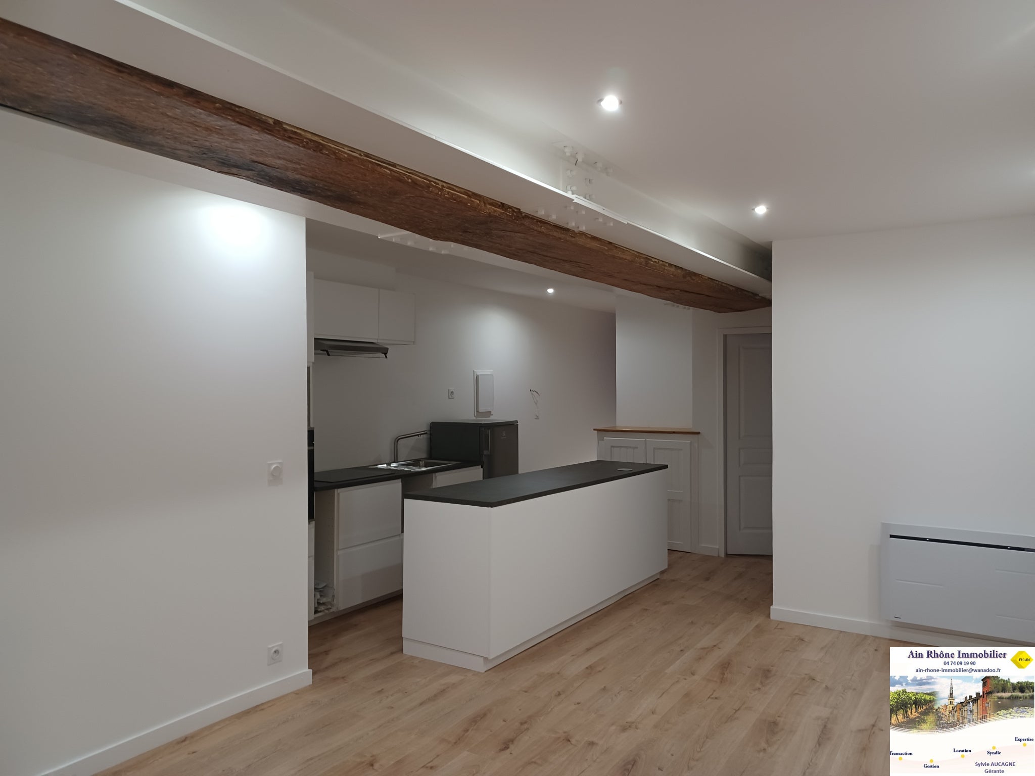 Appartement Quai du Docteur Gailleton à Lyon