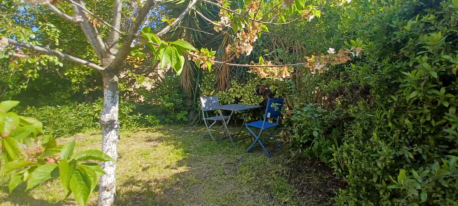 Chambre Impasse des Agrumes à Six-Fours-les-Plages