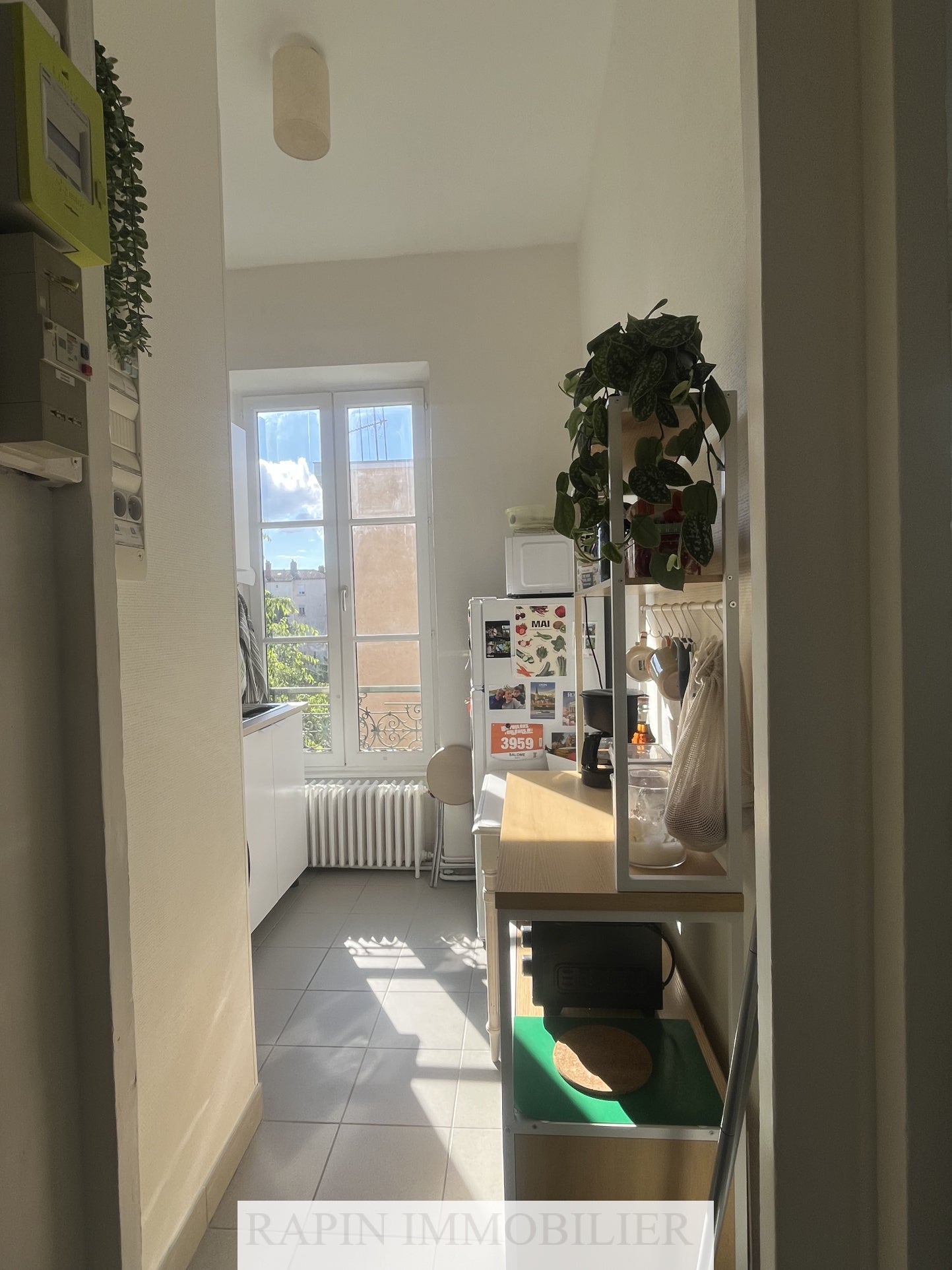 Appartement Rue Commandant Charcot à Lyon
