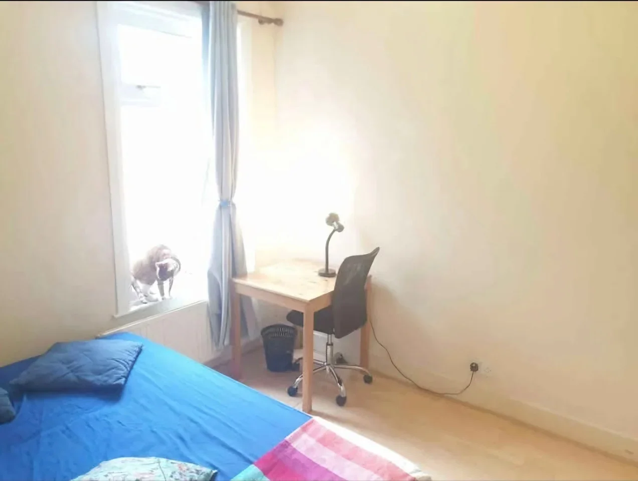 Room Kimberley Gardens in Greater London
