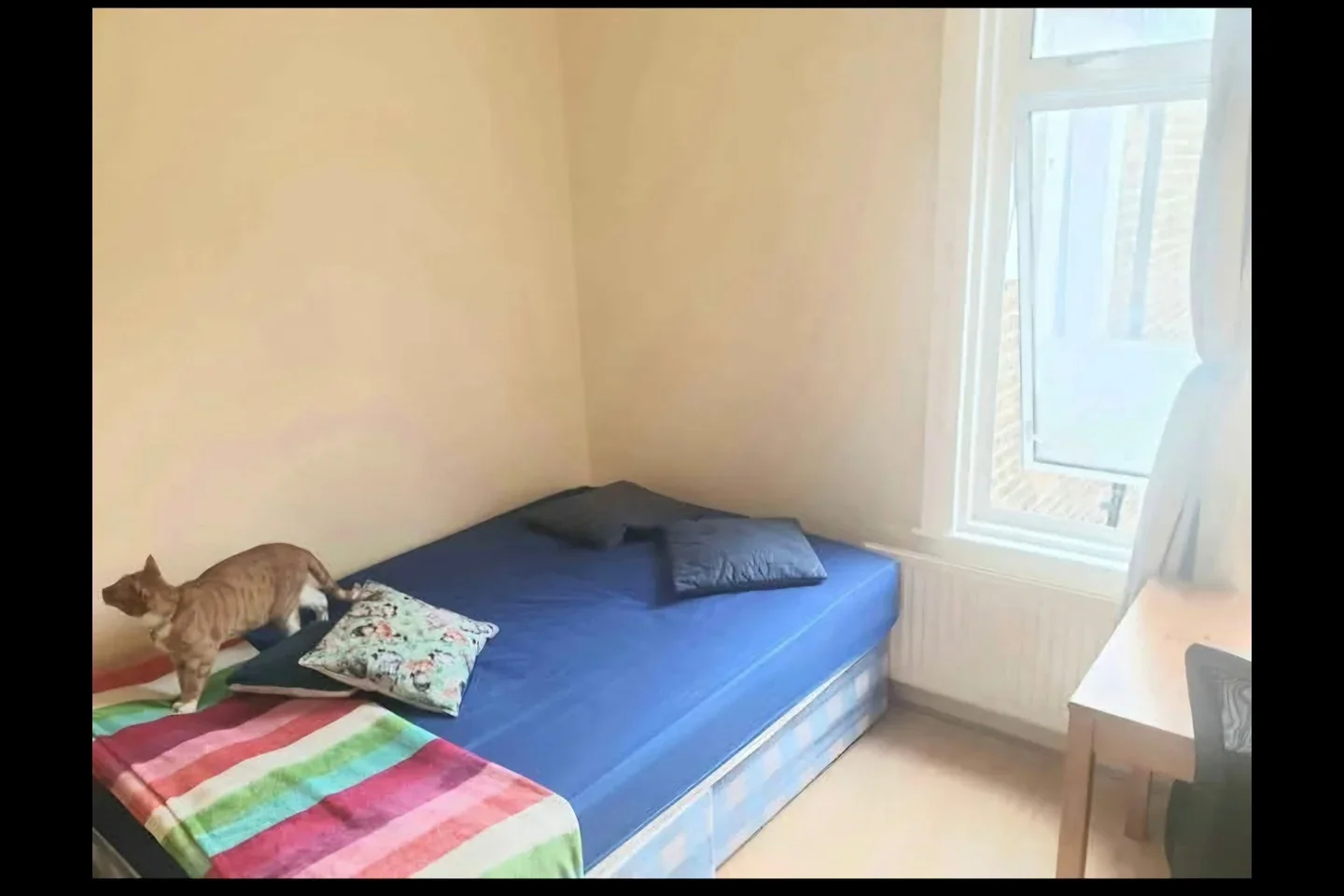 Room Kimberley Gardens in Greater London