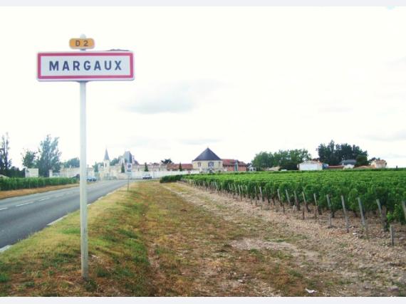 Flat Rue duffour-dubergier in Bordeaux