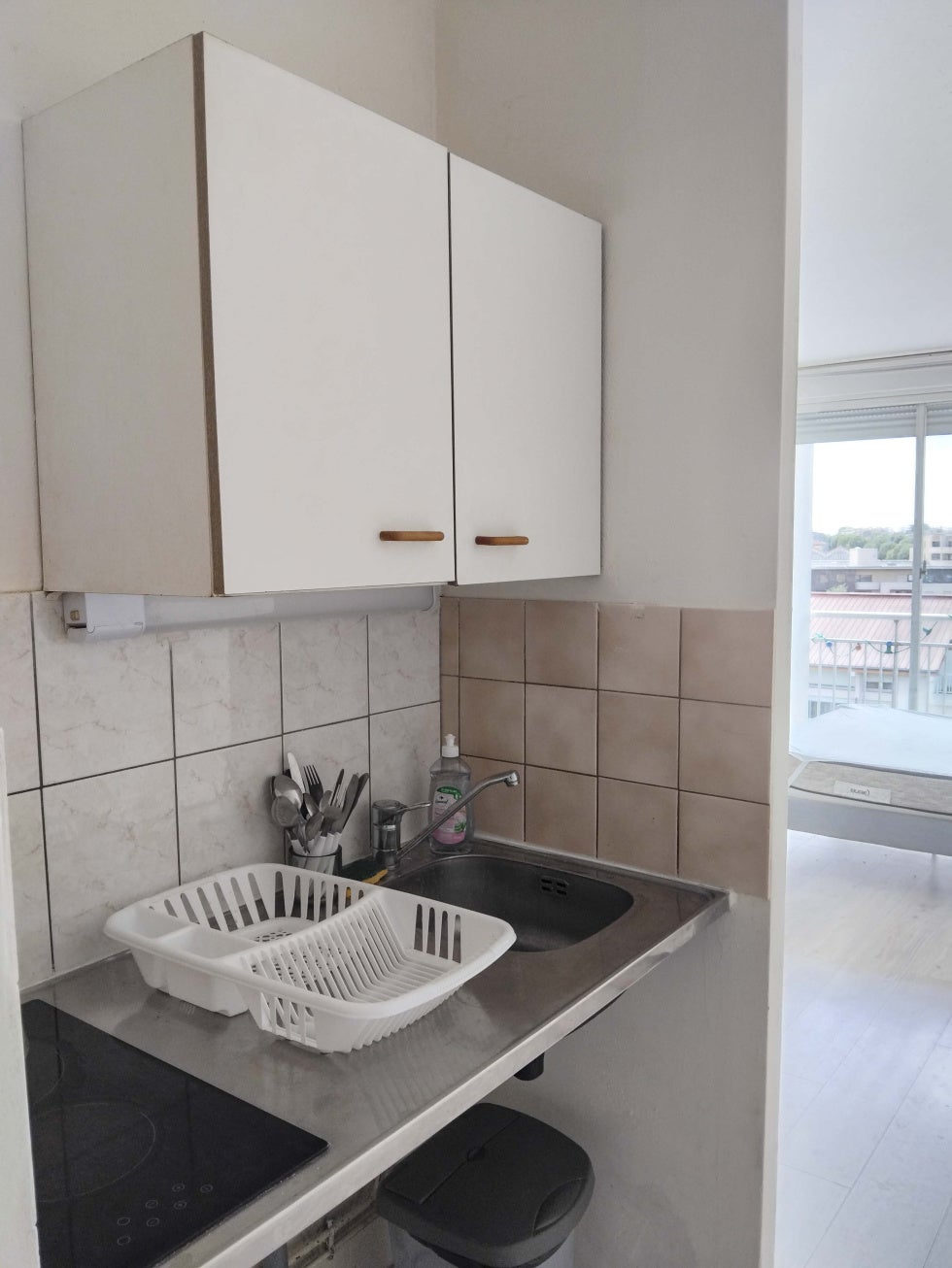Appartement Boulevard Pierre 1er à Le Bouscat