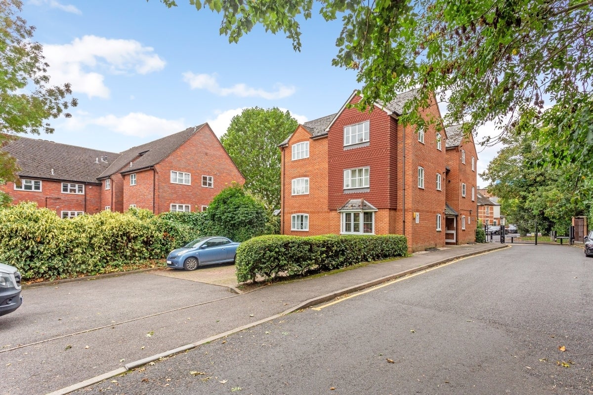 Flat Swan Close in Three Rivers