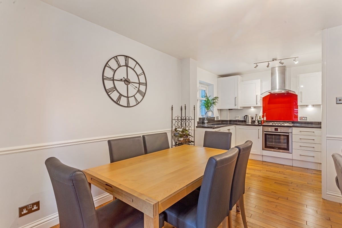 Flat Swan Close in Three Rivers