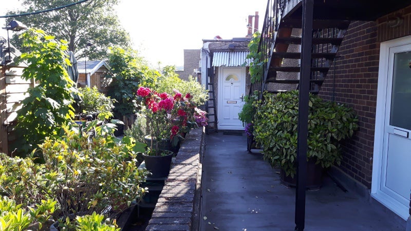 Room Turnpike Lane in Greater London
