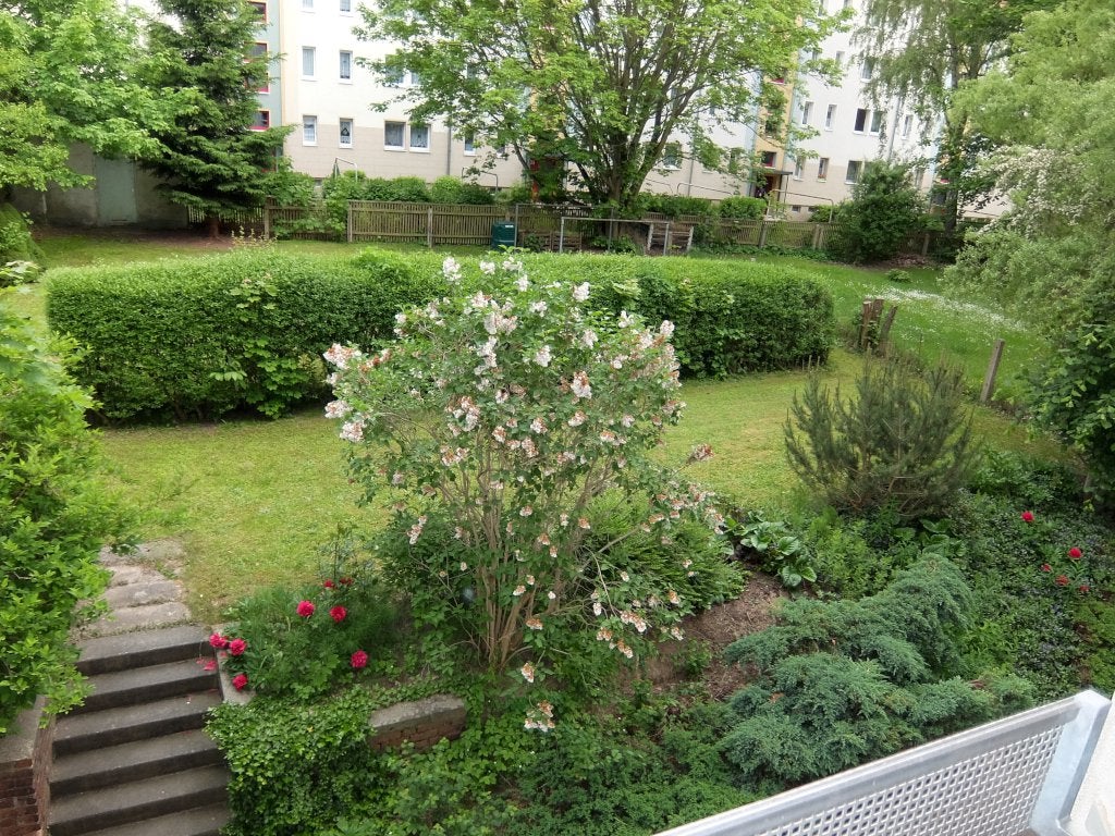 Wohnung Neefestraße in Chemnitz