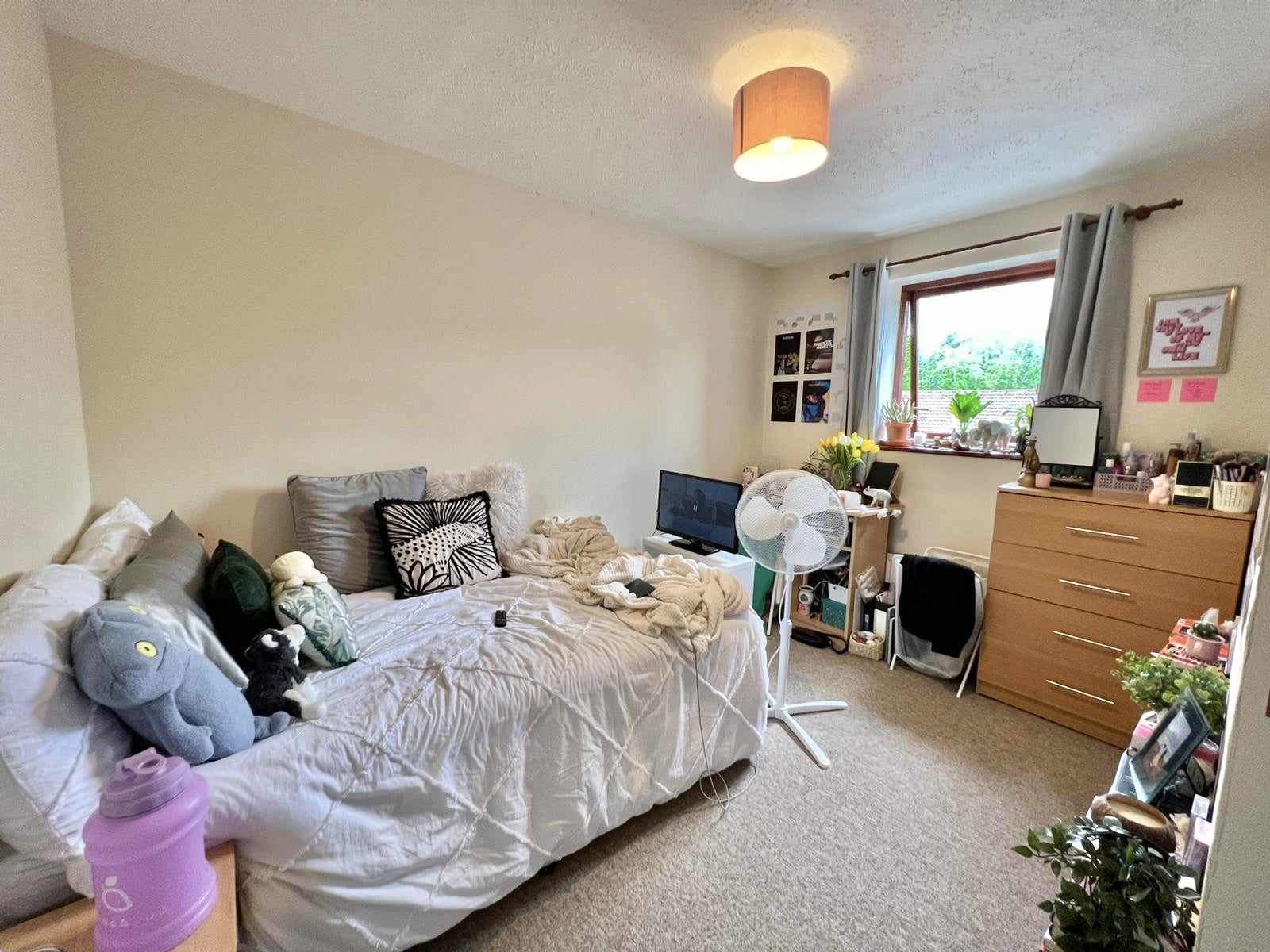 Room Honeysuckle Close in Winchester