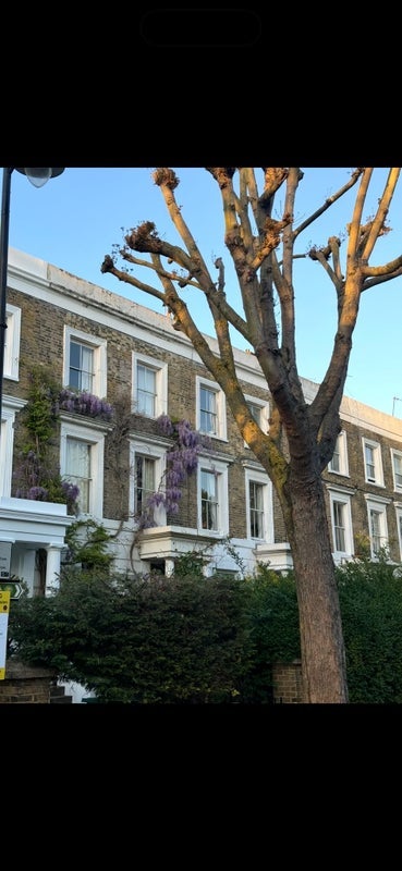 Room Elmore Street in Greater London
